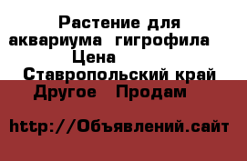 Растение для аквариума (гигрофила) › Цена ­ 250 - Ставропольский край Другое » Продам   